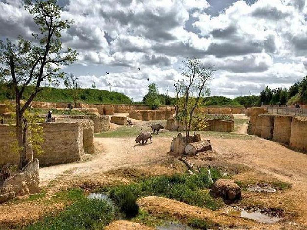 149 BIO PARC DE DOUE LA FONTAINE 4- 2016_000007.jpg